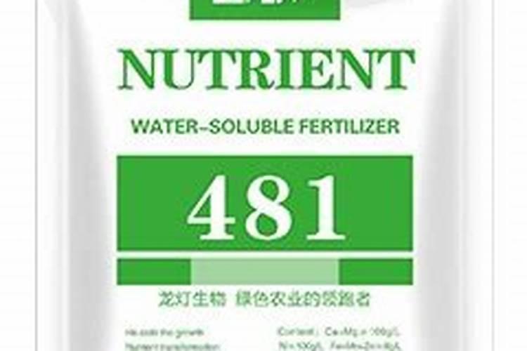 施肥过量为什么会烧根？