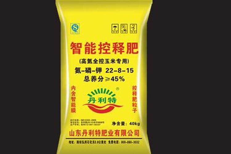 怎样在花盆里种绿豆