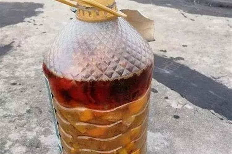 手头有大量鱼肠,如何沤肥