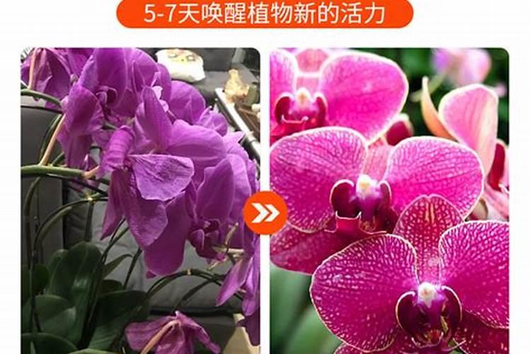 黄腐酸钾是什么肥料