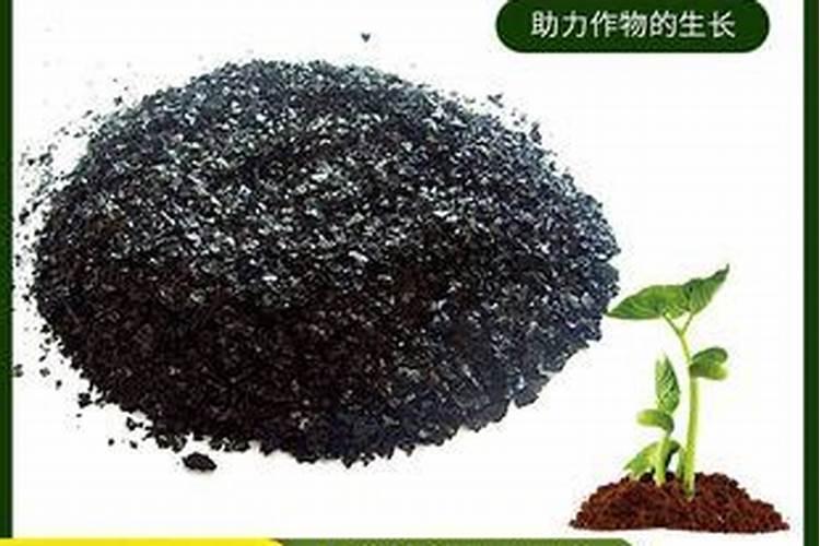 草莓滴灌钙肥一亩多少斤？