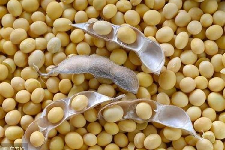 大豆出苗七天打磷钾肥最简单三个步骤