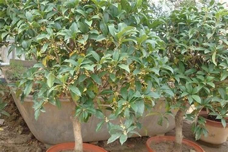 浙江欧格纳科海洋生物科技有限公司怎么样？