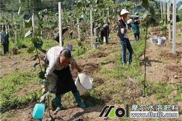 请问蟹爪兰花后修剪该剪多少啊 蟹爪兰花后如何修剪