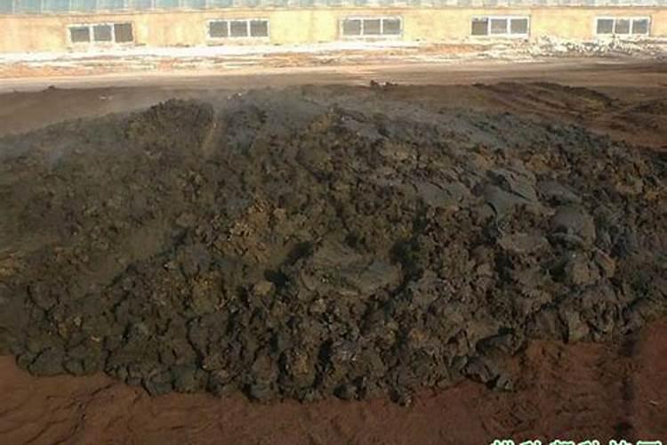 人尿粪属于什么肥？