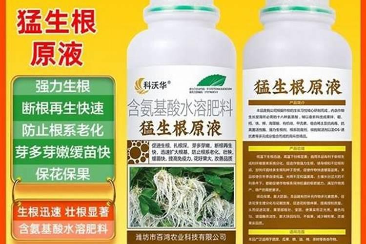 用什么肥料能让农作物快速生根？