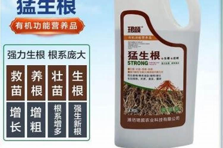 谁有生根壮苗效果比较好的水溶肥？