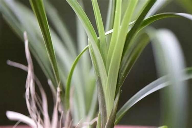 正新轮胎厂家在哪里？正新轮胎是哪里生产的