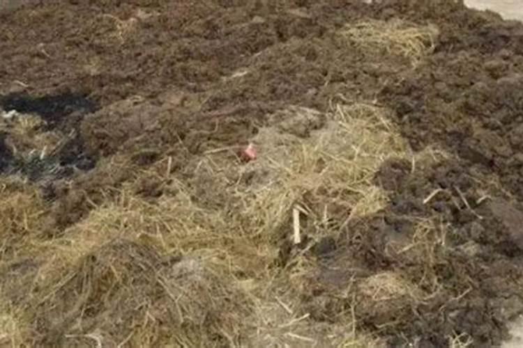 磷酸盐(以P计)是什么意思