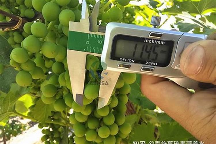 中石化重庆川维化工厂的产品主要有哪些