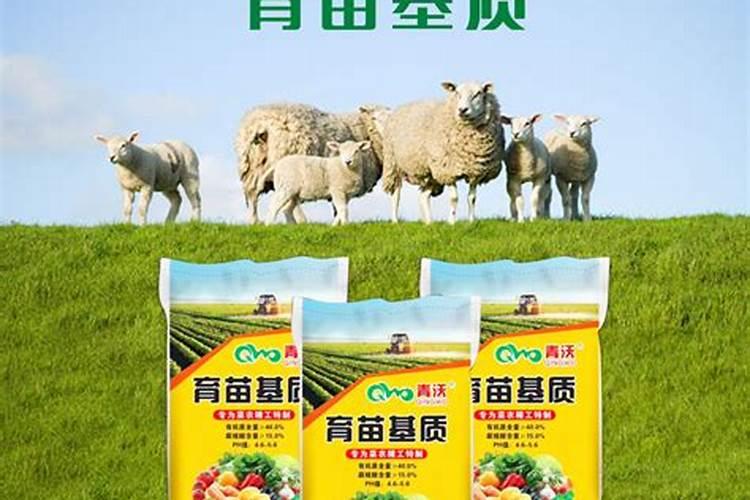 揭阳甘蔗用什么肥料好