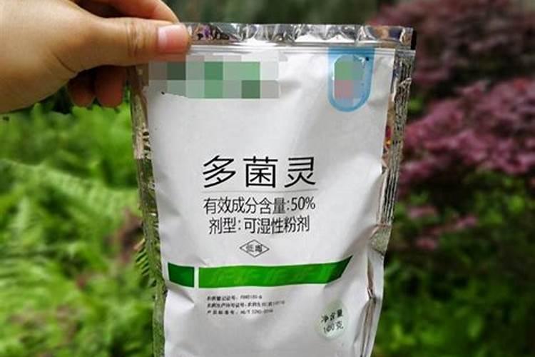 土壤杀菌用什么药好