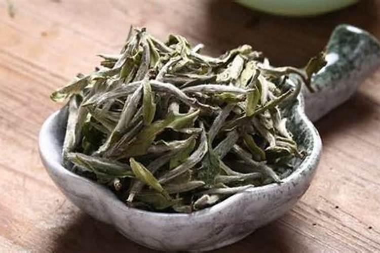 白茶什么时施肥最佳？