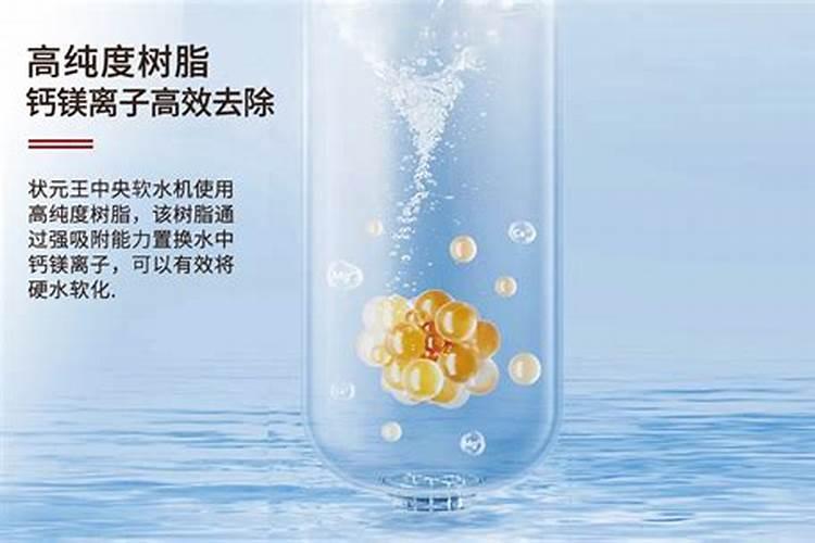 春天月季怎么施肥