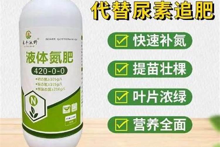 苹果膨果期用什么肥最好？怎么施肥呢？