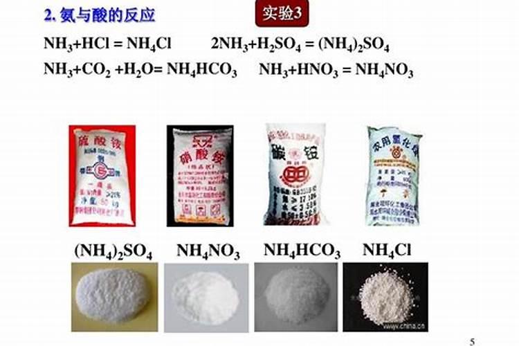 老鼠瓜楼顶种植为什么中途会枯萎而死？