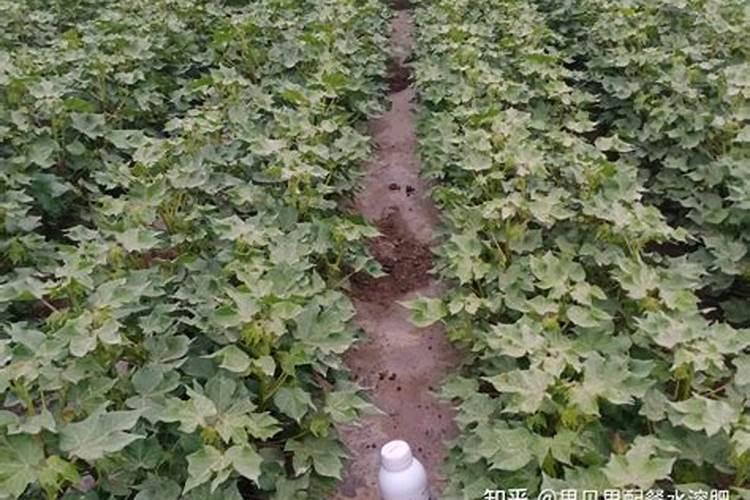 液氮一般哪里有买