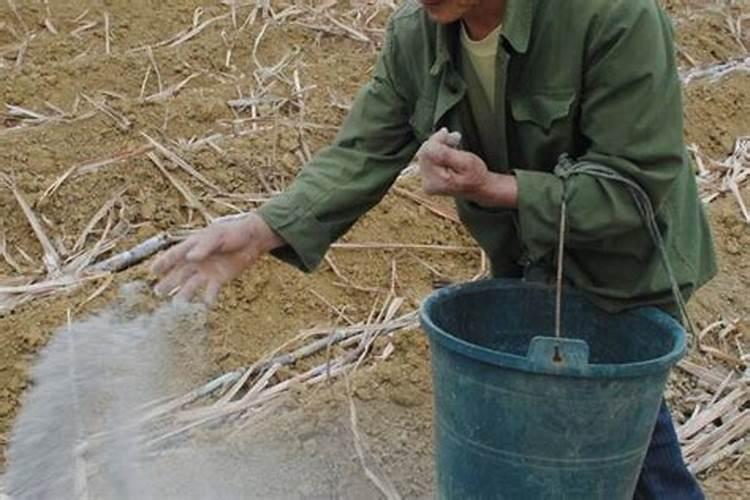 有机肥设备需要多少钱一套 如下: