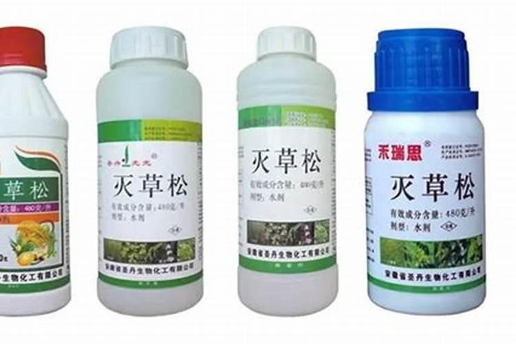 常见的中量元素肥料有哪些？怎么用？