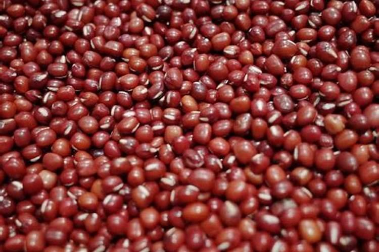 用泡黑豆绿豆红豆水浇花行不