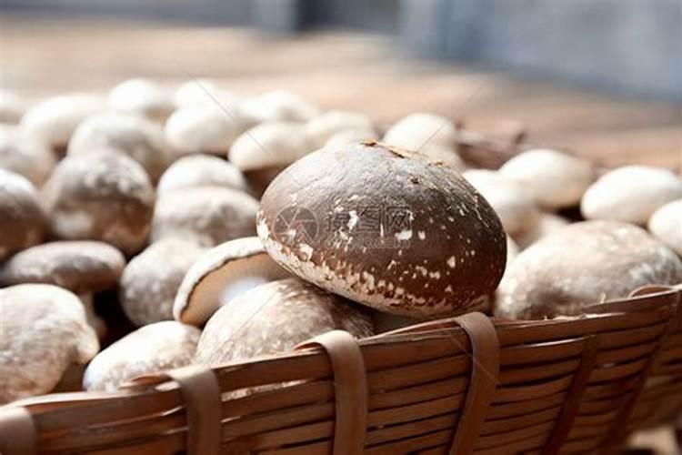 蚯蚓粪肥正确使用方法