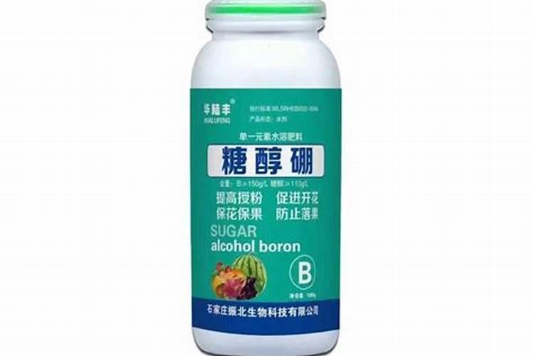 暑天与伏天的区别是什么