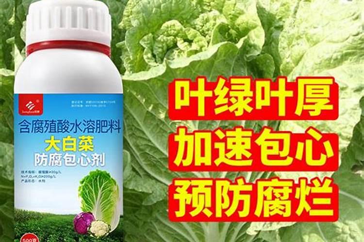 空心菜施什么肥更鲜嫩