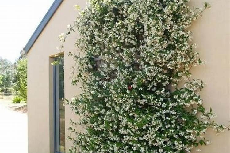 中国七冶咋样啊？