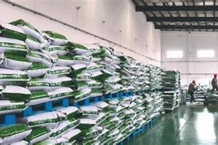 草莓抗寒施什么肥料