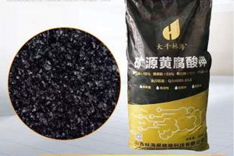 槟果旺打槟榔树有什么好处