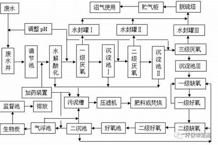 如何让三角梅快速生根