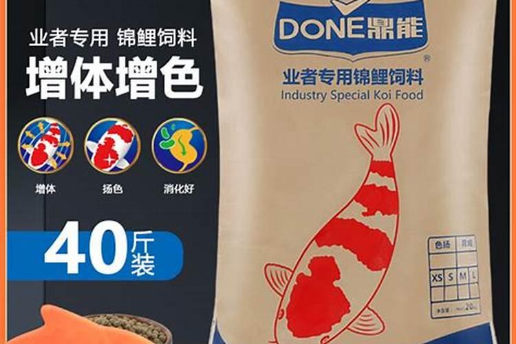 种魔芋的技术和技巧