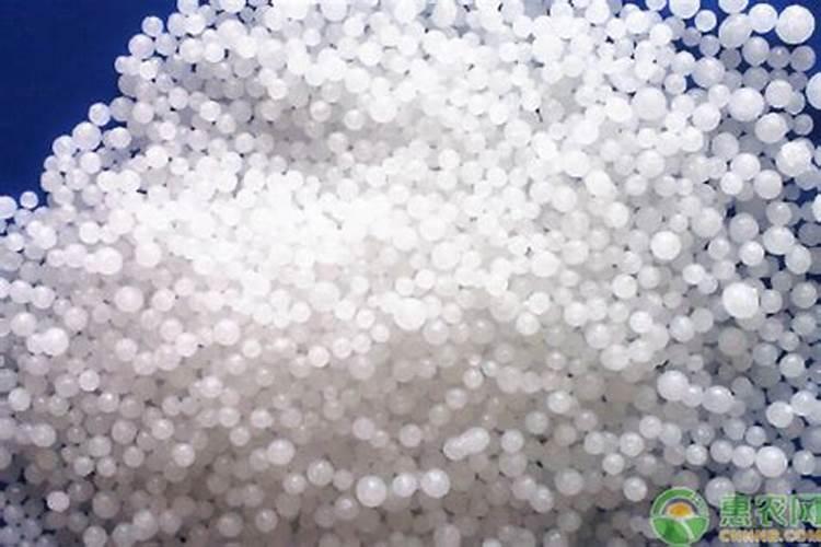 玫瑰花树施的氮肥是什么名称？