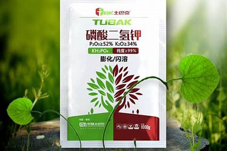 种释迦果施什么肥