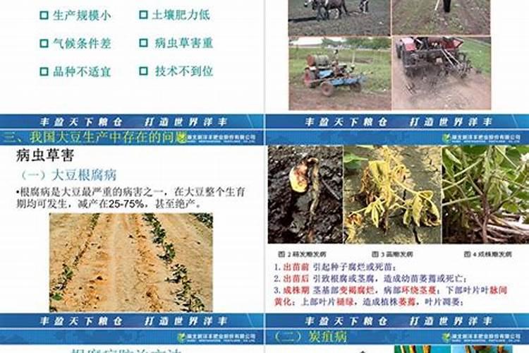 赤芍追肥用什么肥料