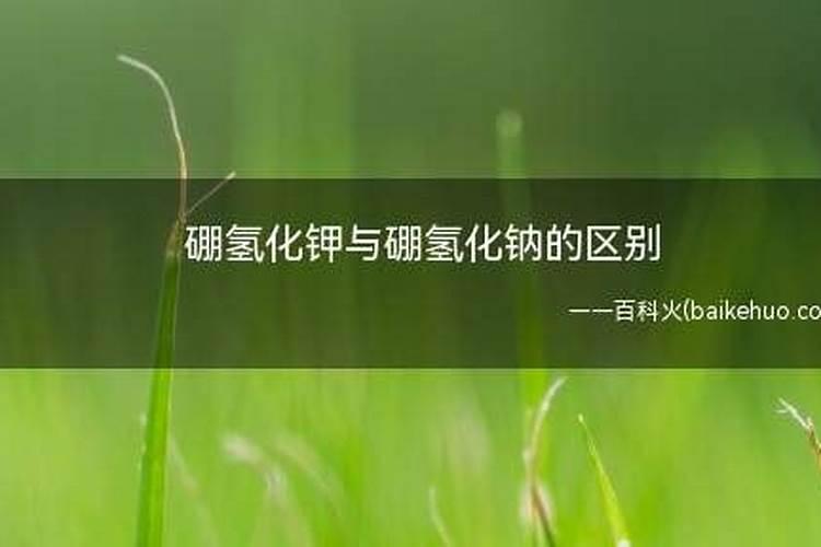 一棵葡萄树全年需要多少钙肥？