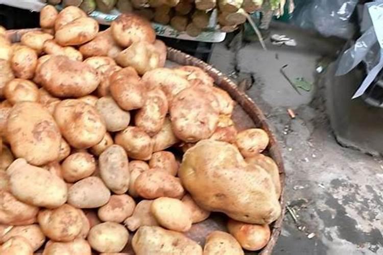 黄瓜追肥用什么肥料好