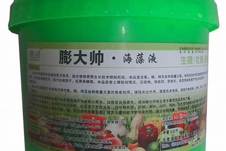 2018年新玉米价格能否达到1元/斤？
