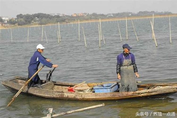 地栽月季需要天天浇水吗？