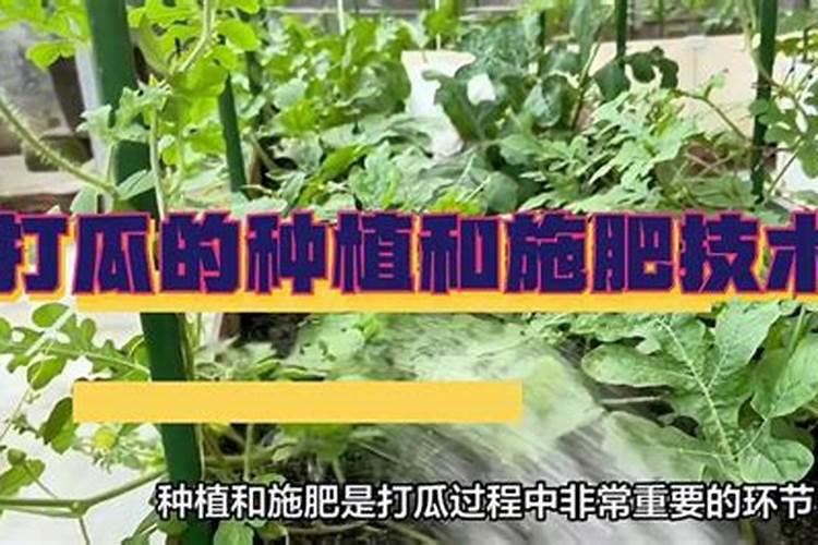 海洋资源有哪些