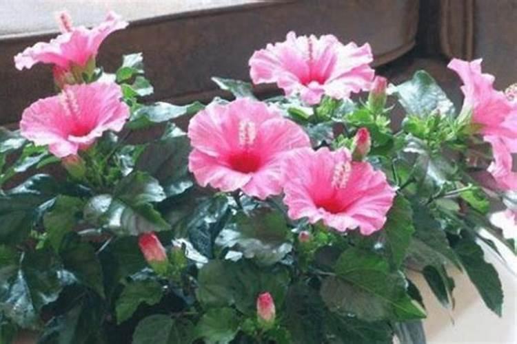 呼伦贝尔海拉尔机场的新跑道和旧跑道有何不同？