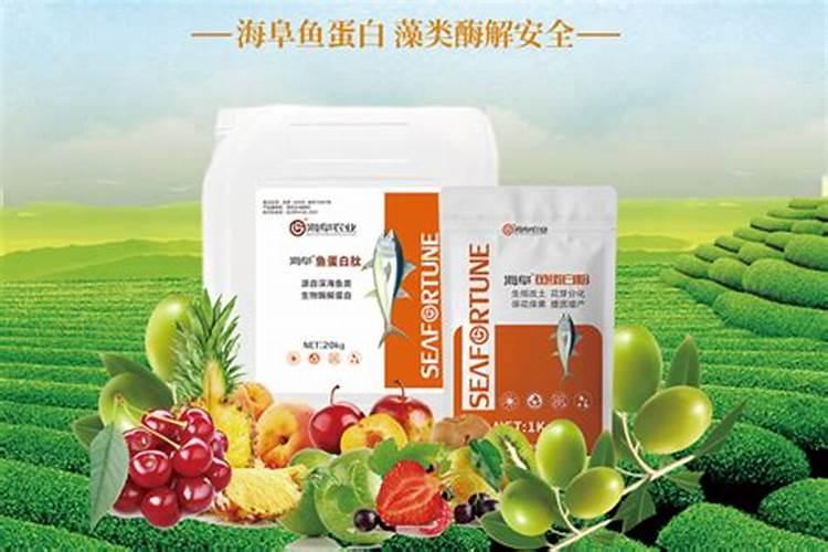 打药以后下雨怎么办