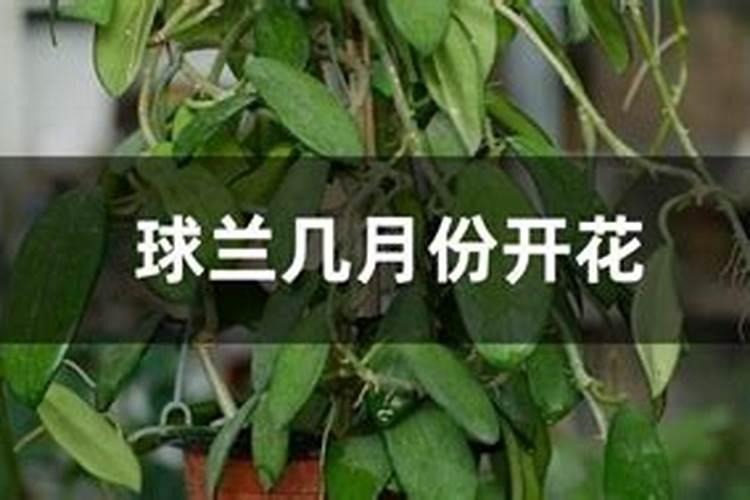 山东省鲁西化工股份有限公司第七化肥公司