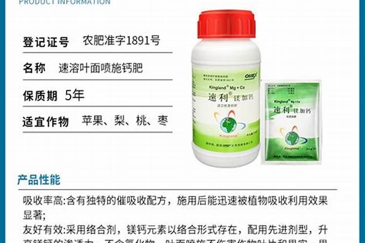 种白菜如何补施钙肥 白菜高产的方法是什么