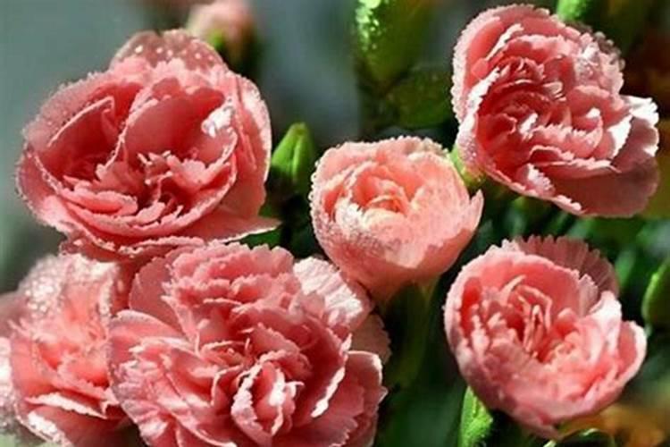 德国能量贴正确使用方法