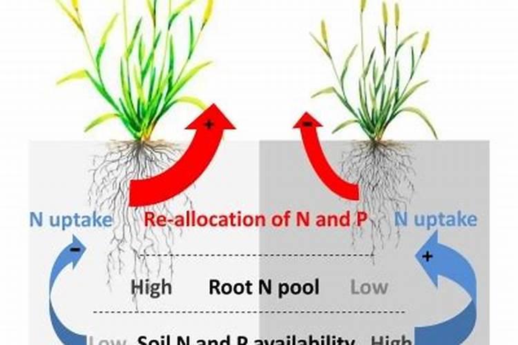 现在中国的高炭钢多少钱一斤
