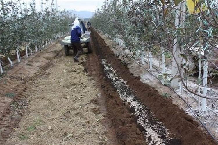 广东东莞是不是有个叫恩斯迈的厂,是做什么的,那个厂怎样