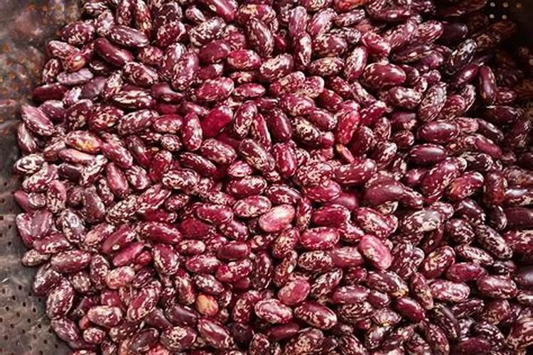 芸豆定植后一般打什么叶面肥