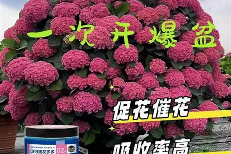 氯虫苯甲酰胺不能和什么杀菌剂混用