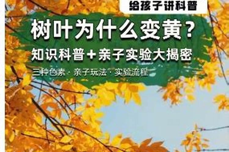 这几种花,千万别往叶子上喷水,否则马上死给你看!